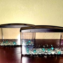 Small Betta Fish Tank