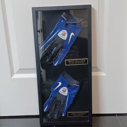 NFL AUTOGRAPHED GLOVE DISPLAY HOF BRIAN URLACHER AND LARRY FITZGERALD 