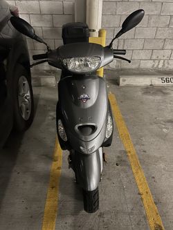Scoter