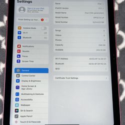 Apple Pink iPad 10th Gen. 256gb Wifi Only