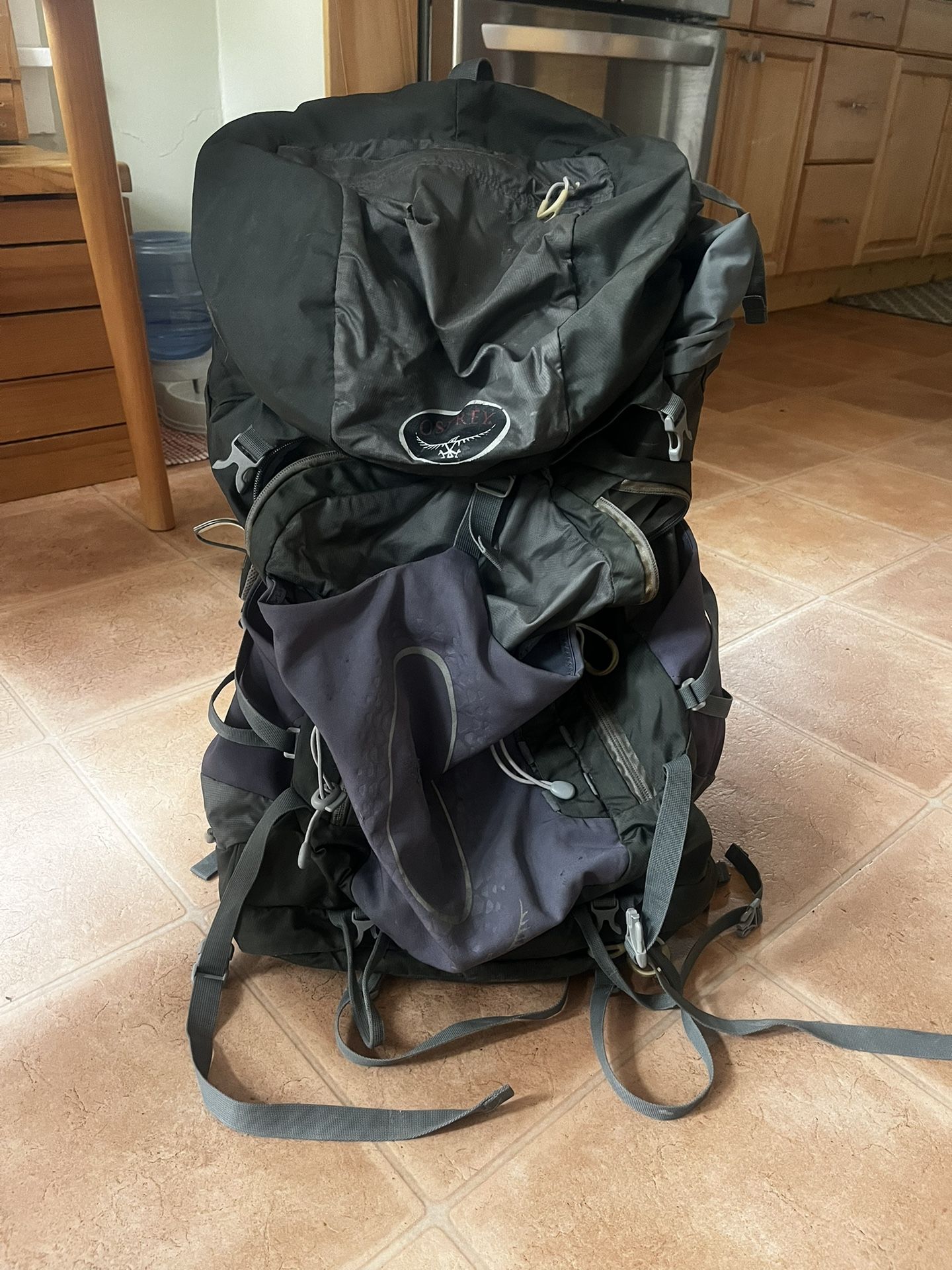 65 L Osprey Backpacking Backpack Size M