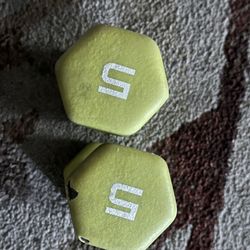 2 Pcs 5lbs Dumbbells