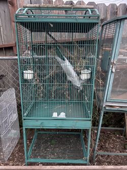 President bird cage