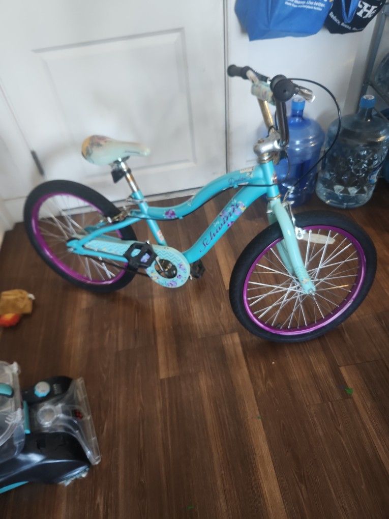 Girls Schwinn Bike