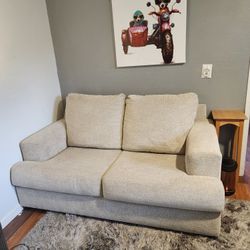 Loveseat Couch