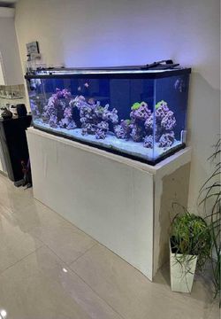 process then Full Aquarium Tank - Spacious & Eye-Catching