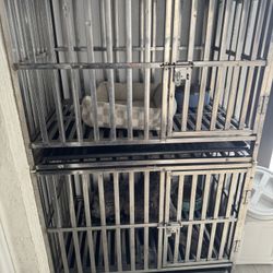 Dog cages 