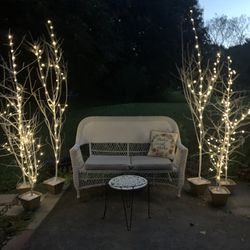 Wedding Decor, Lighted Trees