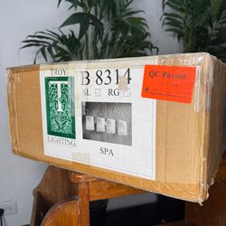 Troy Lighting Spa Light Fixture