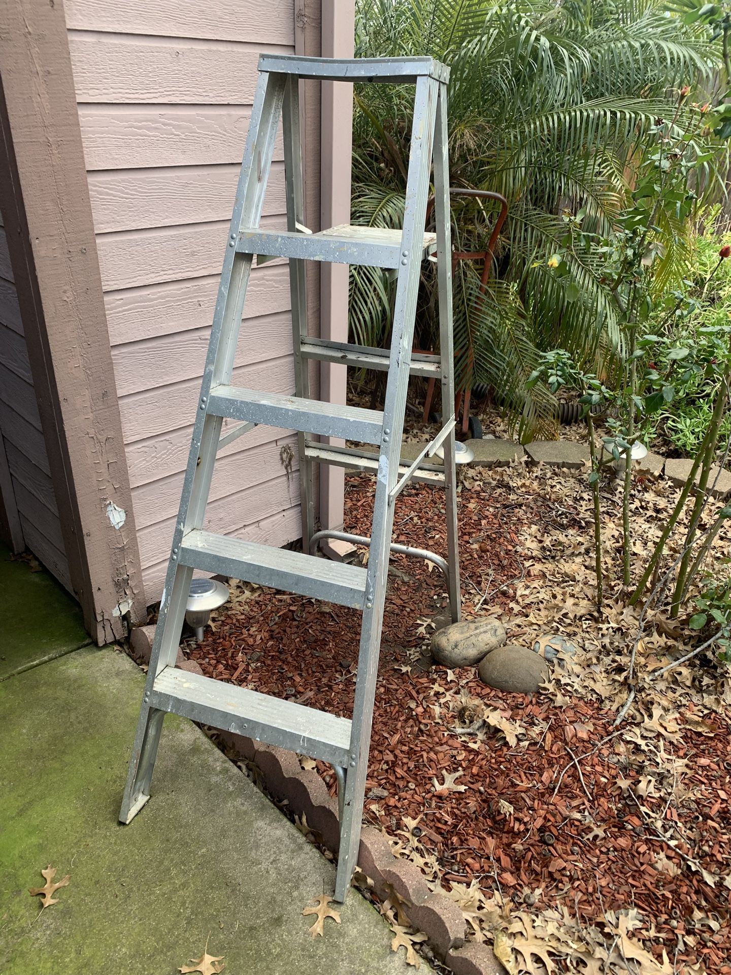 Ladder