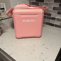 Pink Igloo Cooler 