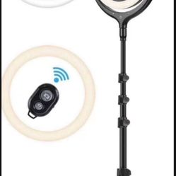 12" Ring Light, REKY Selfie Ring Light with Tripod Stand & Phone Holder, 1.7M 3 Color Lights/10 Levels Brightness Dimmable Led Tripod Light for Live S