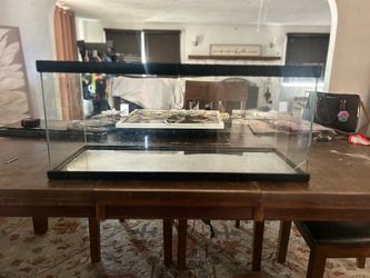 Glass Terrarium Tank