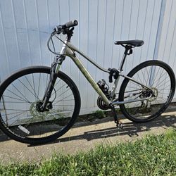 Trek Dual Sport 2 Hybrid Bike 