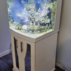 Biocube 32 Led saltwater