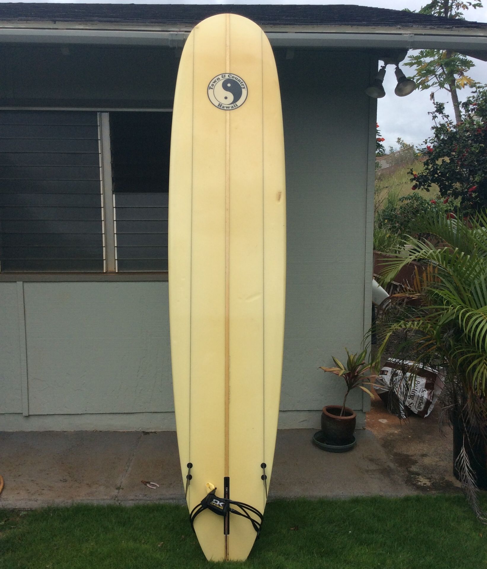 T&C / griffin design 9ft longboard , three fins, board bag and leash
