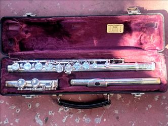 Fliut Musical Instrument with Hard Case