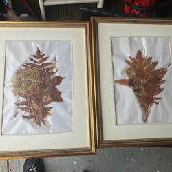 Vintage Framed Pressed Flower Art — Set of 2 