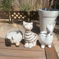 Animal Plant Pots 