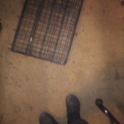 Dogs cage pretty big good size