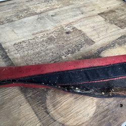 Tail wrap for horses