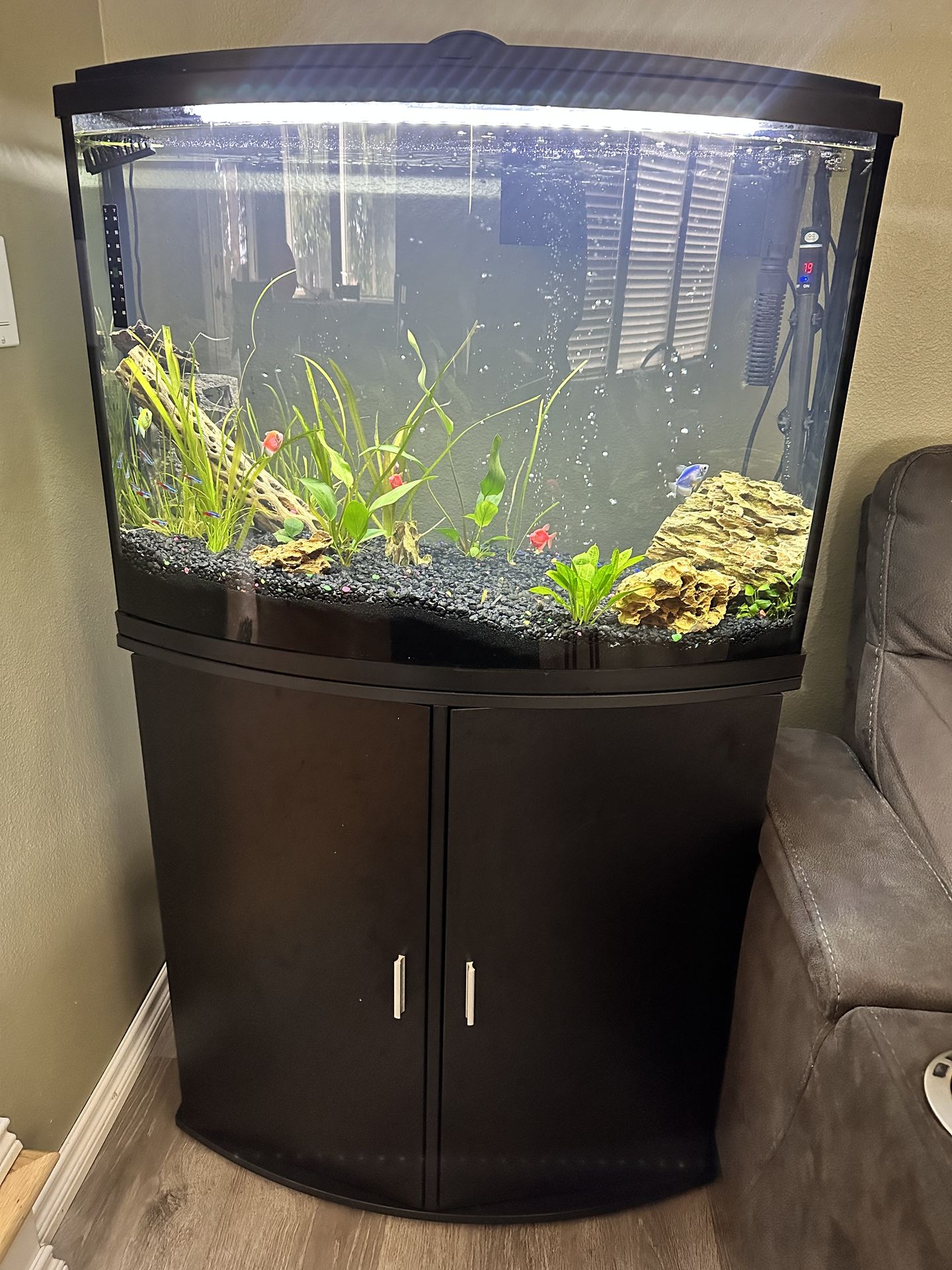 36 Gallon Fish Tanknull