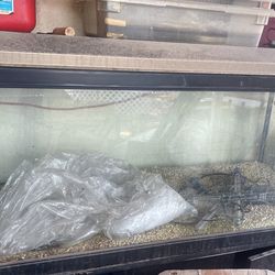 Fish Tank
