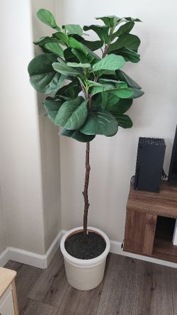 Faux Fig Tree