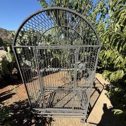 Bird Cage 