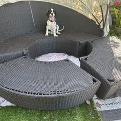 COSTWAY Patio Round Daybed with Retractable Canopy, Wicker Furniture Sectional Couch with Separate Cushioned Seats, Adjustable Table Top, Patio Rattan