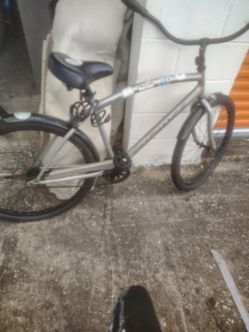 $40 cruiser
