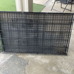 Large dog crate 