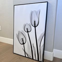 36x24 Large Floating Framed Black and White Tulip Floral Canvas Artwork
