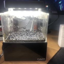 Mini Complete Tank/aquarium