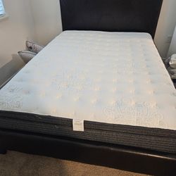 Super Clean Queen Mattress 