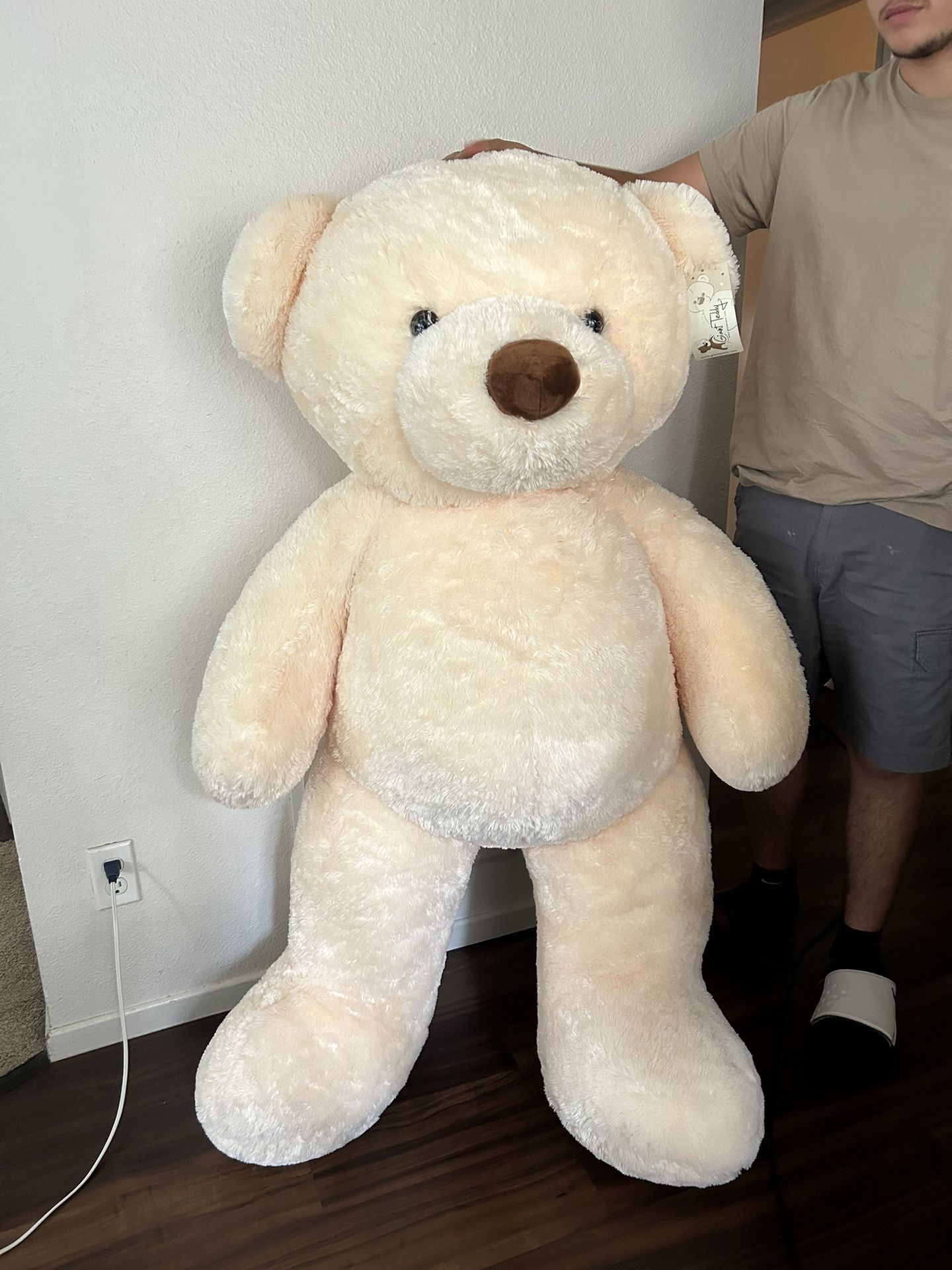 Giant Teddy Bear