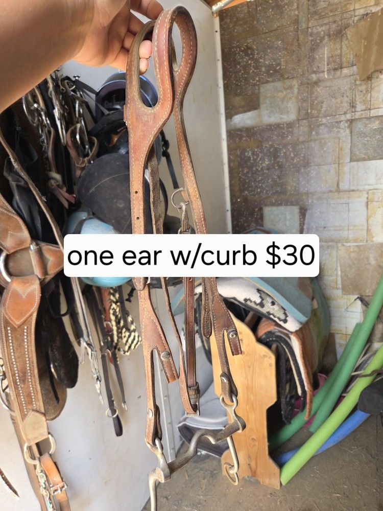 Headstalls And Bits