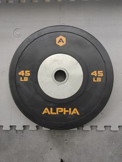 45 Ibs Olympic Bumper Plate 
