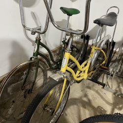 Schwinn Fair Lady’s 20’s