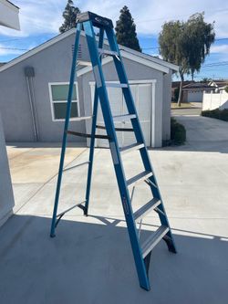 Werner 12 ft ladder