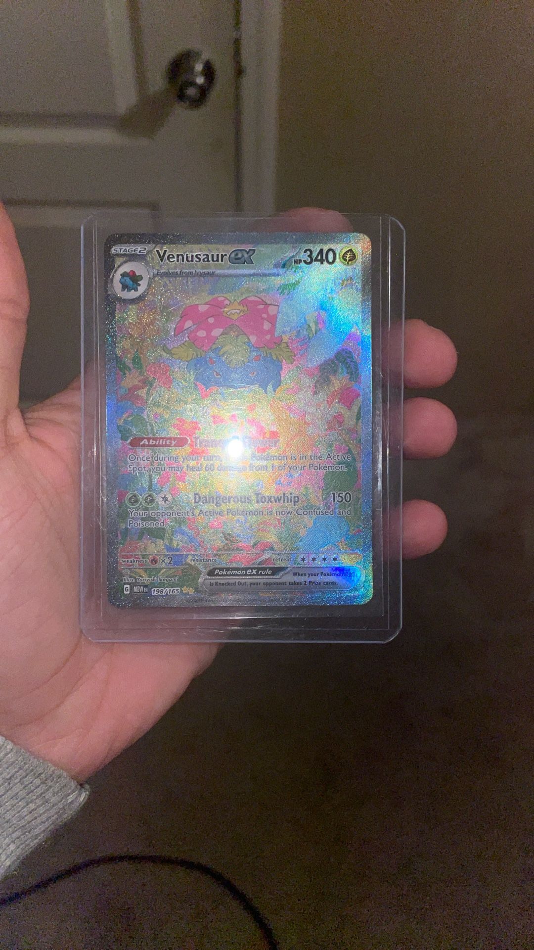 Venusaur Ex