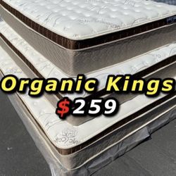 King Size Organic Cloud Comfort Europillow Top 