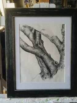 Tree Still Life Drawing With Wood Frame