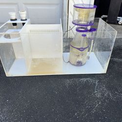 Reef Light Protein Skimmer And Filter Sump 