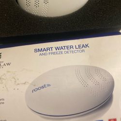 Is Smart Water Leak Detector