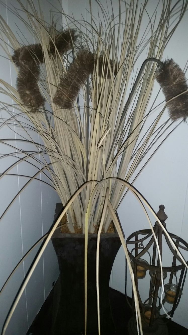 Indoor artificial plant.