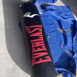 Everlast Punching 🥊 