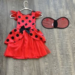 Ladybug Halloween Costume 