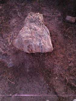 Beautiful Landscape Rock