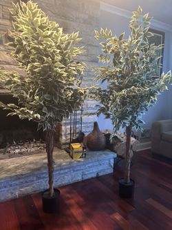 2 Faux Trees 5‘9“ Tall